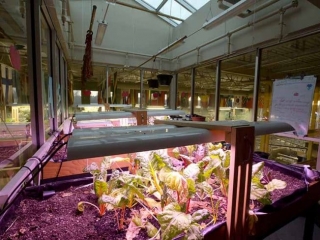 Burnaby Mountain Secondary Agriculture Lab