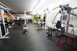 Burnaby-North-Secondary-Weight-Room-732x488